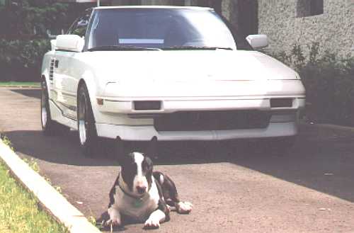 Tommy's car at rest with his guard dog